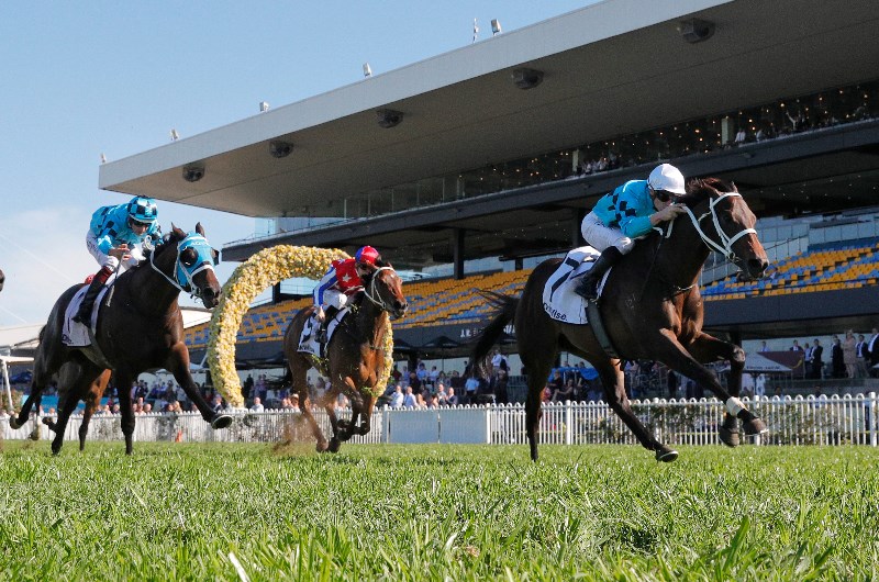 Rosehill Guineas betting odds