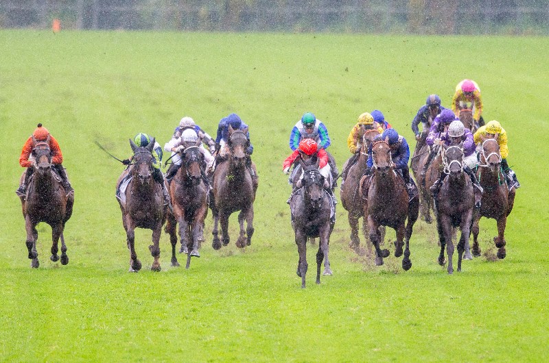 Rosehill Tips for 13.03.2021