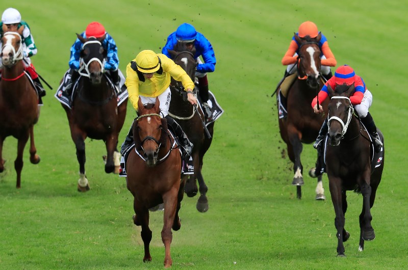 Ranvet Stakes Betting Odds