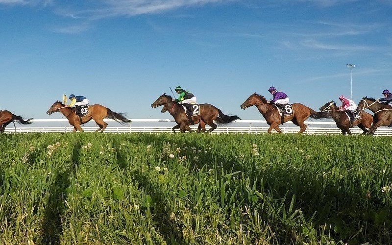 Scone racing tips for 14.01.2020