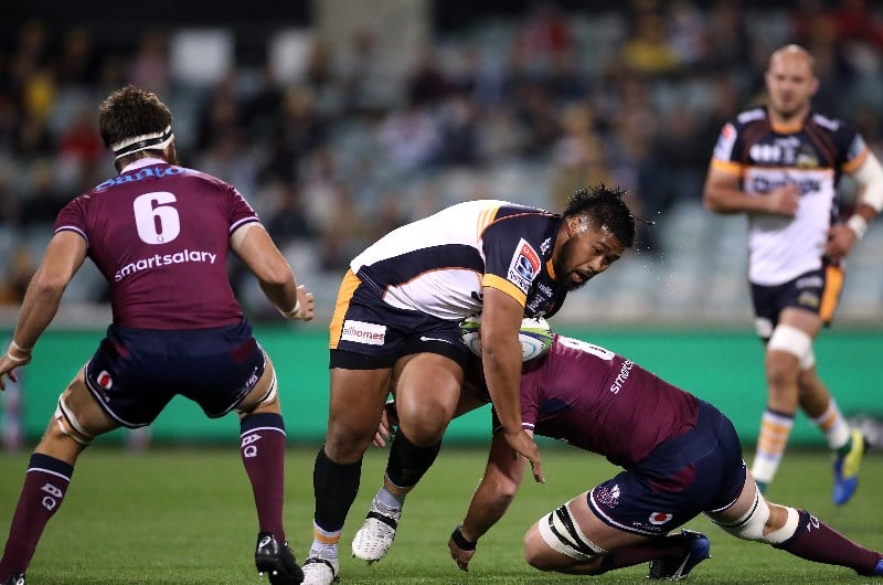 brumbies