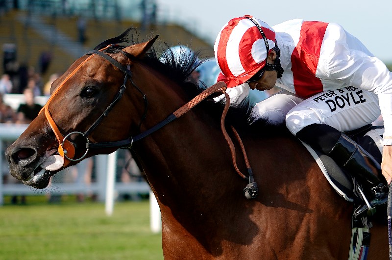 MAN OF THE NIGHT stakes