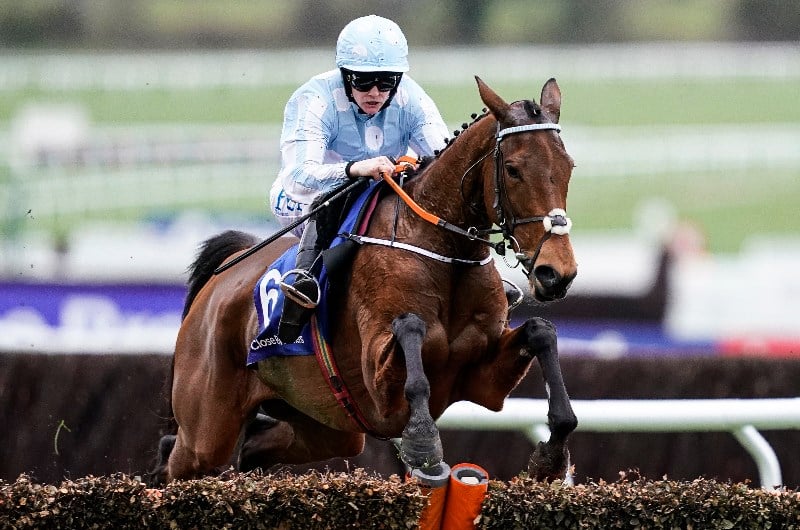 Mares' Hurdle Cheltenham festival