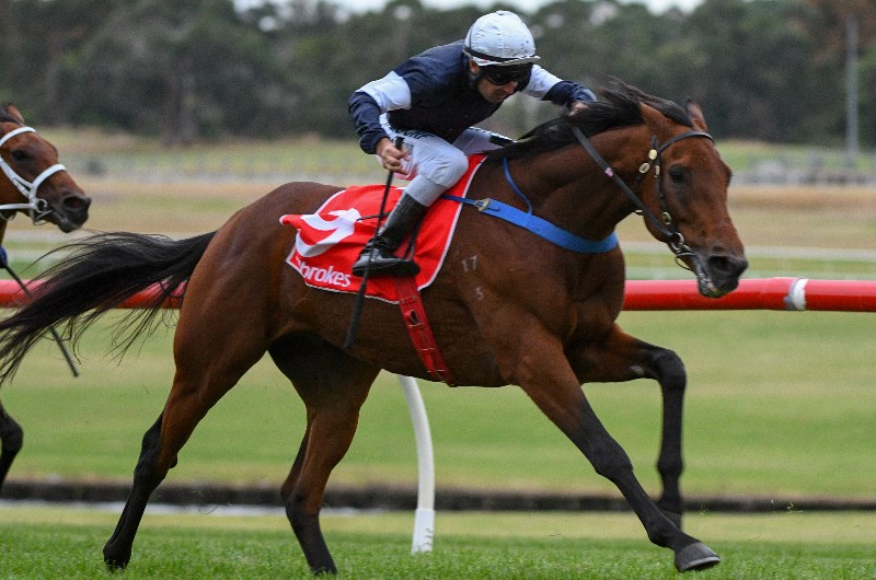Sale Betting Tips