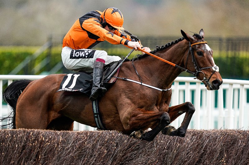 arkle cheltenham