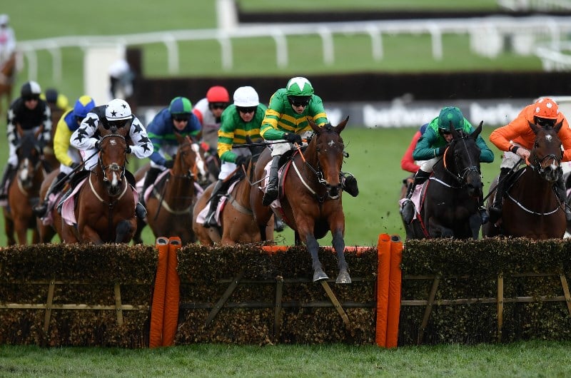 juvenile handicap cheltenham festival