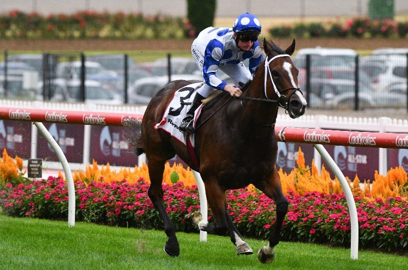 Big Bets Results from 13.03.2021
