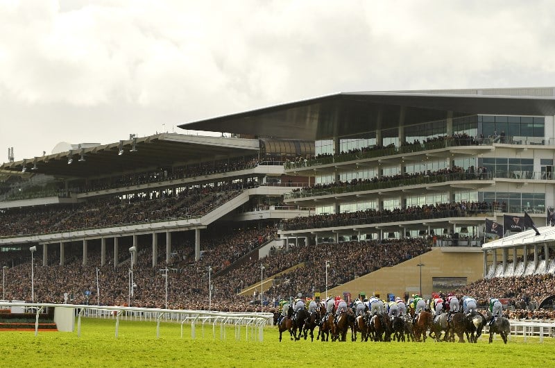 Coral Cup