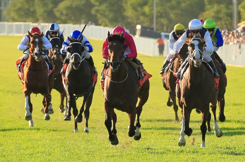 Hawkesbury Tips for 16.03.2021