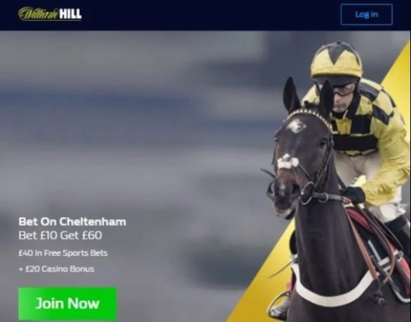 William Hill Cheltenham