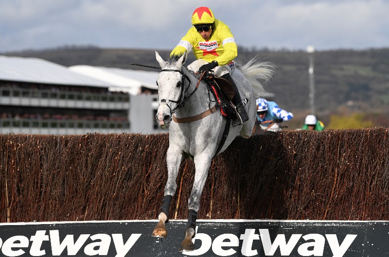 champion chase cheltenham