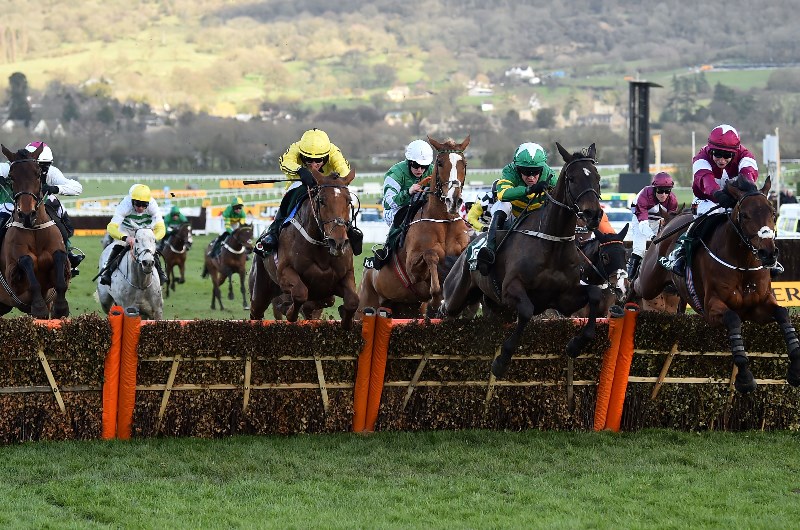 county hurdle cheltenham
