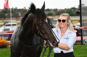MELBOURNE, AUSTRALIA - MARCH 13: Persan after winning Race 3, the Xtreme Freight Handicap, during Melbourne Racing All-Star Mile Day at Moonee Valley Racecourse on March 13, 2021 in Melbourne, Australia. (Photo by Vince Caligiuri/Getty Images)