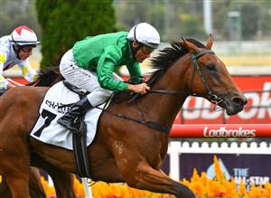 MELBOURNE, AUSTRALIA - MARCH 13: Damien Oliver riding Scorched Earth winning Race 2, the Charter Keck Cramer Valley Pearl, during Melbourne Racing All-Star Mile Day at Moonee Valley Racecourse on March 13, 2021 in Melbourne, Australia. (Photo by Vince Caligiuri/Getty Images)