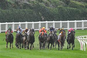 MELBOURNE, AUSTRALIA - MARCH 13: Hugh Bowman riding Mugatoo defeats Damien Oliver riding Russian Camelot as they turn into the straight in Race 8, the All-star Mile, during Melbourne Racing All-Star Mile Day at Moonee Valley Racecourse on March 13, 2021 in Melbourne, Australia. (Photo by Vince Caligiuri/Getty Images)