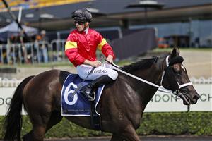 SYDNEY, AUSTRALIA - MARCH 13: James McDonald on Welsh Legend returns to scale after winning race 1 the Catanachs Handicap during Sydney Racing at Rosehill Gardens on March 13, 2021 in Sydney, Australia. (Photo by Mark Evans/Getty Images)