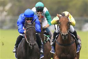 SYDNEY, AUSTRALIA - MARCH 13: James McDonald on Arcaded (blue) wins race 2 the Cerrone Magic Night Stakes during Sydney Racing at Rosehill Gardens on March 13, 2021 in Sydney, Australia. (Photo by Mark Evans/Getty Images)