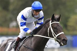 SYDNEY, AUSTRALIA - MARCH 13: Kerrin McEvoy on Shaquero returns to scale after winning race 3 the Bowermans Commercial Furniture Pago Pago Stakes during Sydney Racing at Rosehill Gardens on March 13, 2021 in Sydney, Australia. (Photo by Mark Evans/Getty Images)