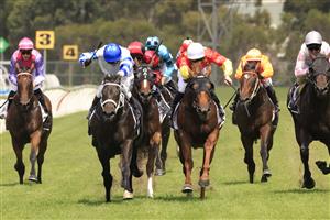 SYDNEY, AUSTRALIA - MARCH 13: Kerrin McEvoy on Shaquero (blue cap) wins race 3 the Bowermans Commercial Furniture Pago Pago Stakes during Sydney Racing at Rosehill Gardens on March 13, 2021 in Sydney, Australia. (Photo by Mark Evans/Getty Images)