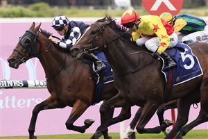 SYDNEY, AUSTRALIA - MARCH 13: Kerrin McEvoy on California Zimbol wins race 5 the City Tattersalls Club Maurice McCarten Stakes during Sydney Racing at Rosehill Gardens on March 13, 2021 in Sydney, Australia. (Photo by Mark Evans/Getty Images)