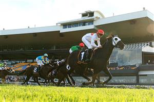 SYDNEY, AUSTRALIA - MARCH 13: Nash Rawiller on Yao Dash wins race 9 the Cellarbrations Handicap during Sydney Racing at Rosehill Gardens on March 13, 2021 in Sydney, Australia. (Photo by Mark Evans/Getty Images)