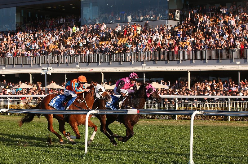 Doomben Betting Tips
