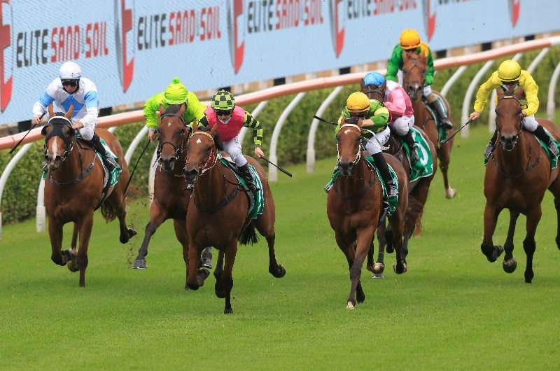 Randwick-Kensington Tips for 03.02.2021