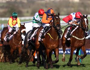 CHELTENHAM, ENGLAND - MARCH 16: Jeff Kidder (2R) ridden by Sean Flanagan leads up the home straight to win the Boodles Juvenile Handicap Hurdle (Grade 3) on Day One of the Cheltenham Festival at Cheltenham Racecourse on March 16, 2021 in Cheltenham, England. Sporting venues around the UK remain under strict restrictions due to the Coronavirus Pandemic as Government social distancing laws prohibit spectators inside venues resulting in events being held behind closed doors. (Photo by Michael Steele/Getty Images)