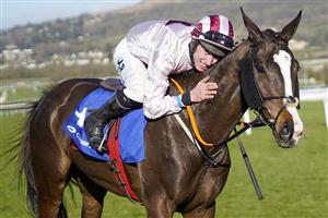 CHELTENHAM, ENGLAND - MARCH 16: Jack Kennedy celebrates after riding Black Tears to win The Close Brothers Mares' Hurdle at Cheltenham Racecourse on March 16, 2021 in Cheltenham, England. Sporting venues around the UK remain under strict restrictions due to the Coronavirus Pandemic as Government social distancing laws prohibit spectators inside venues resulting in events being held behind closed doors. (Photo by Alan Crowhurst/Getty Images)