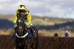 CHELTENHAM, ENGLAND - MARCH 16: Nico de Boinville riding Shishkin clear the last to win The Sporting Life Arkle Challenge Trophy Novices' Chase at Cheltenham Racecourse on March 16, 2021 in Cheltenham, England. Sporting venues around the UK remain under strict restrictions due to the Coronavirus Pandemic as Government social distancing laws prohibit spectators inside venues resulting in events being held behind closed doors. (Photo by Alan Crowhurst/Getty Images)