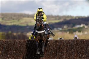 CHELTENHAM, ENGLAND - MARCH 16: Nico de Boinville riding Shishkin clear the last to win The Sporting Life Arkle Challenge Trophy Novices' Chase at Cheltenham Racecourse on March 16, 2021 in Cheltenham, England. Sporting venues around the UK remain under strict restrictions due to the Coronavirus Pandemic as Government social distancing laws prohibit spectators inside venues resulting in events being held behind closed doors. (Photo by Alan Crowhurst/Getty Images)