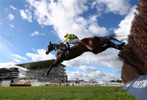 CHELTENHAM, ENGLAND - MARCH 16: Shishkin ridden by Nico de Boinville jumps the last on the home straight first time round on the way to winning the Sporting Life Arkle Challenge Trophy Novices' Chase (Grade 1) on Day One of the Cheltenham Festival at Cheltenham Racecourse on March 16, 2021 in Cheltenham, England. Sporting venues around the UK remain under strict restrictions due to the Coronavirus Pandemic as Government social distancing laws prohibit spectators inside venues resulting in events being held behind closed doors. (Photo by Michael Steele/Getty Images)