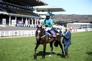 CHELTENHAM, ENGLAND - MARCH 16: Appreciate It ridden by Paul Townend after winning the Sky Bet Supreme Novices' Hurdle during day one of the Cheltenham Festival at Cheltenham Racecourse, on March 16, 2021 in Cheltenham, England. Sporting venues around the UK remain under strict restrictions due to the Coronavirus Pandemic as Government social distancing laws prohibit spectators inside venues resulting in events being held behind closed doors. (Photo by Tim Goode - Pool/Getty Images)