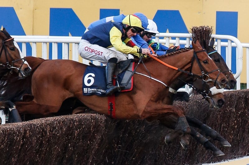 Festival Plate Cheltenham