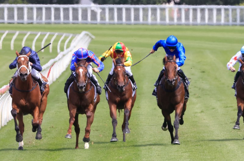 Golden Slipper Tips