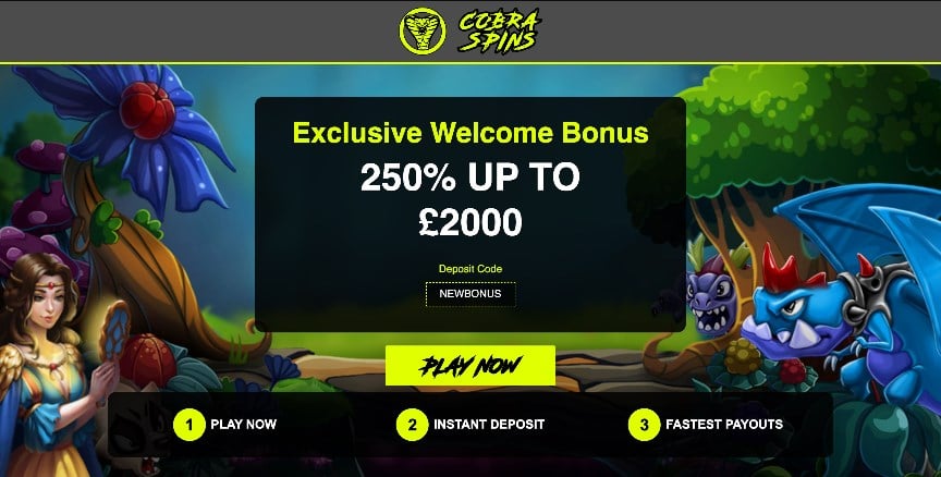 Cobra Spins Casino Cobra Spins Casino