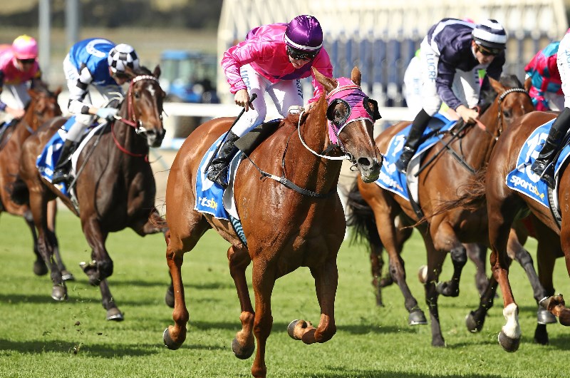 Pakenham Betting Tips