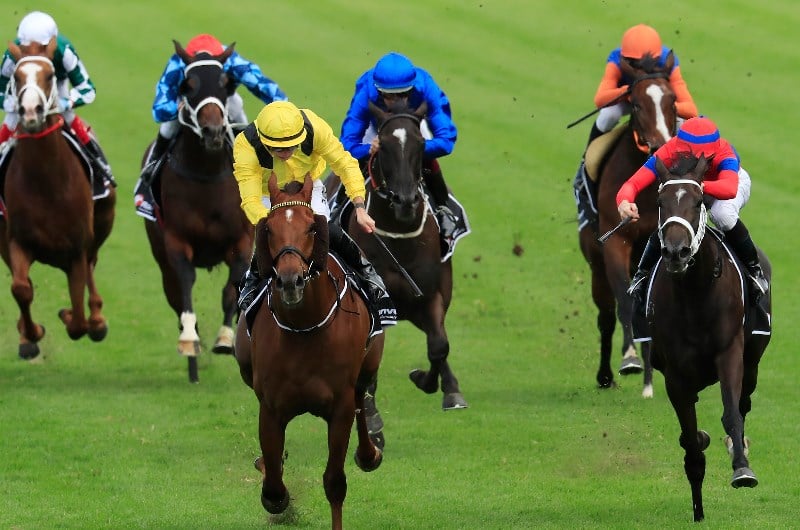 Ranvet Stakes Tips