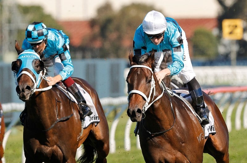 Rosehill Guineas Tips