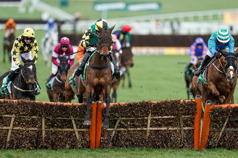 Stayers' Hurdle