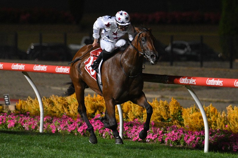 William Reid Stakes Betting Tips