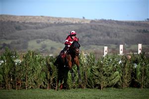 CHELTENHAM, ENGLAND - MARCH 17: Tiger Roll ridden by Keith Donoghue on their way to winning the Glenfarclas Chase (Cross Country Chase) on day two of the Cheltenham Festival at Cheltenham Racecourse, on March 17, 2021 in Cheltenham, England. Sporting venues around the UK remain under strict restrictions due to the Coronavirus Pandemic as Government social distancing laws prohibit spectators inside venues resulting in events being held behind closed doors. (Photo by Tim Goode - Pool/Getty Images)