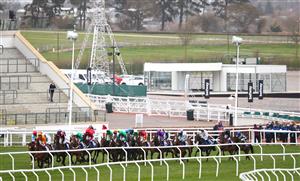 CHELTENHAM, ENGLAND - MARCH 17: General view of the riders during the Coral Cup Handicap Hurdle (Grade 3) race on Day Two of the Cheltenham Festival 2021 at Cheltenham Racecourse on March 17, 2021 in Cheltenham, England. Sporting venues around the UK remain under strict restrictions due to the Coronavirus Pandemic as Government social distancing laws prohibit spectators inside venues resulting in events being held behind closed doors. (Photo by Michael Steele/Getty Images)
