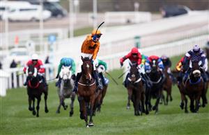 CHELTENHAM, ENGLAND - MARCH 17: Heaven Help Us ridden by Richard Condon celebrates after winning the Coral Cup Handicap Hurdle on day two of the Cheltenham Festival at Cheltenham Racecourse on March 17, 2021 in Cheltenham, England. Sporting venues around the UK remain under strict restrictions due to the Coronavirus Pandemic as Government social distancing laws prohibit spectators inside venues resulting in events being held behind closed doors. (Photo by Tim Goode - Pool/Getty Images)