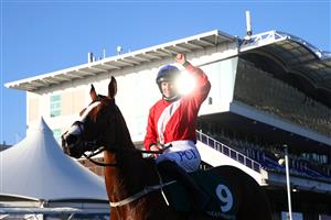 CHELTENHAM, ENGLAND - MARCH 17: Rachael Blackmore (Jockey of Sir Gerhard) celebrates victory after the Weatherbys Champion Bumper (Grade 1) race on Day Two of the Cheltenham Festival 2021 at Cheltenham Racecourse on March 17, 2021 in Cheltenham, England. Sporting venues around the UK remain under strict restrictions due to the Coronavirus Pandemic as Government social distancing laws prohibit spectators inside venues resulting in events being held behind closed doors. (Photo by Michael Steele/Getty Images)