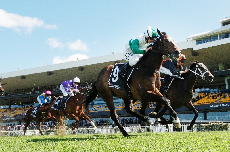 Albury Tips for 19.03.2021