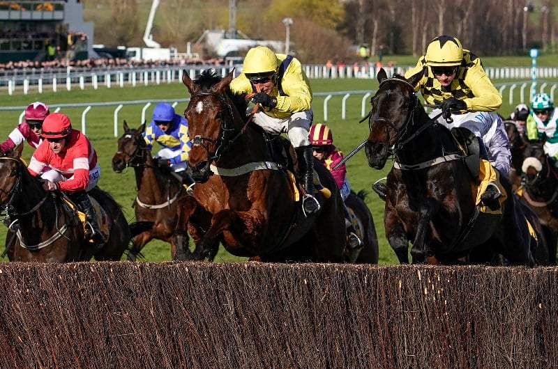 Cheltenham Gold Cup