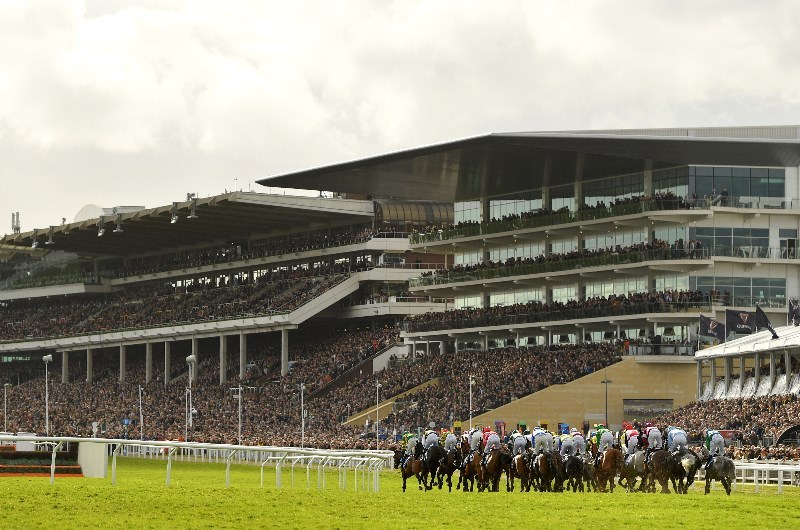 Coral Cup
