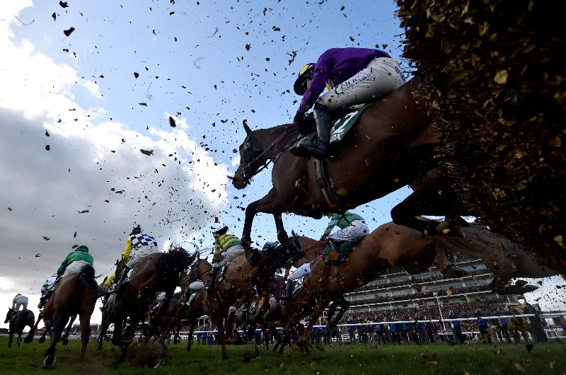 County Hurdle