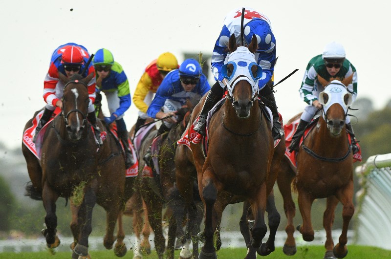 Mornington Racing Tips